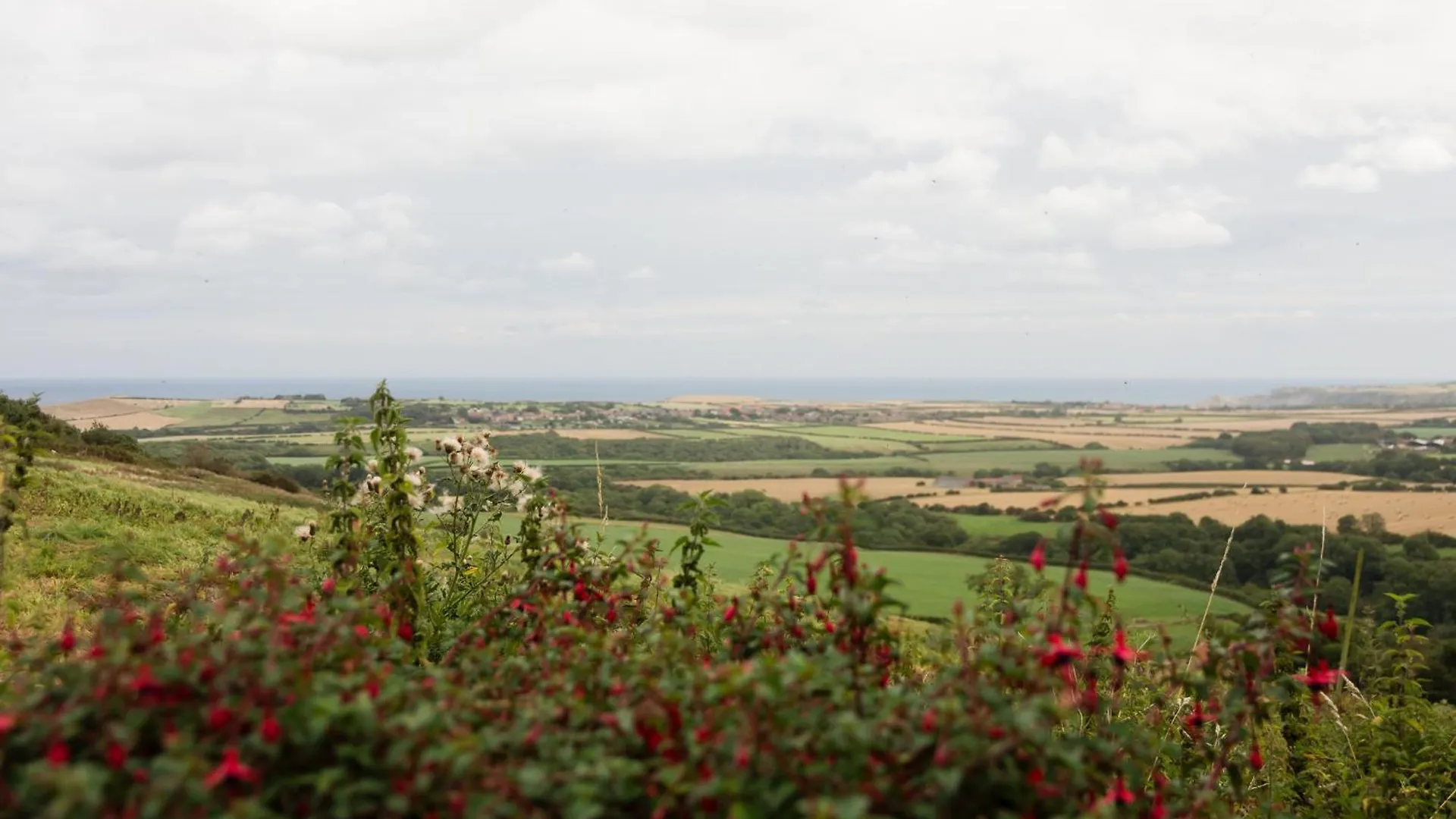 Sebright Cottage, Borrowby Farm Cottages Staithes Holiday home